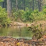 Photo taken by Jane G