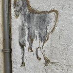 Photo taken by joe h