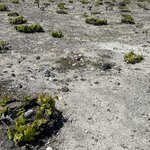 Photo taken by Anita N