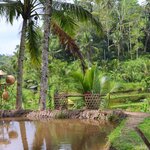 Photo taken by Laurence S