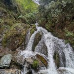 Photo taken by Trent G