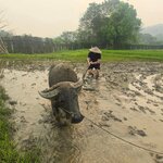 Photo taken by Christopher S