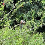 Photo taken by Chris H