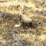 Photo taken by Melanie M