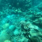 Photo taken by Kolla S