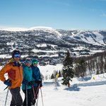 Interesting trees and gentle terrain | Photo taken by Lisa S