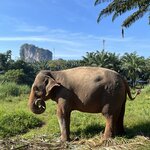 Photo taken by Kelsey S