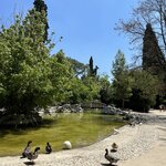 Photo taken by Sakura I