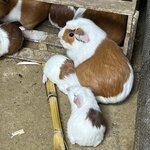 Photo taken by Melanie M