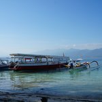 Photo taken by Alexandra G