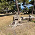 Photo taken by Lee G