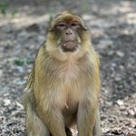 Photo taken by Leah H