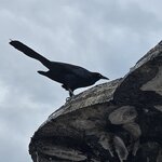 Photo taken by Alexandre M