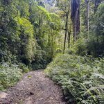 Photo taken by Linda W