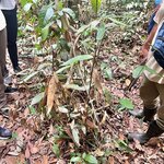 Photo taken by Marur Dev D