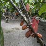 Photo taken by Ora Y