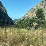 Photo taken by Braedon G