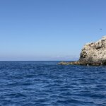 Photo taken by Archana D