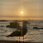 Photo taken by SARMA M