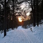 Photo taken by Christa C