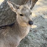 Photo taken by John P