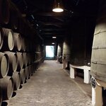 Photo taken by Mollie D