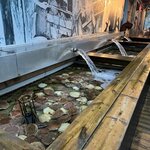 Photo taken by Brian C