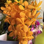 Photo taken by Kim B