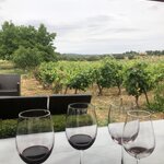 Photo taken by Diane B