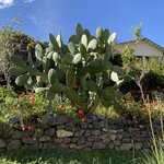 Photo taken by Amanda H