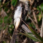 Photo taken by Matt W