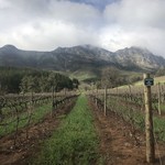 Stellenbosch | Photo taken by Missy C