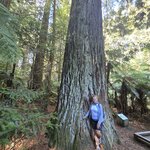 Photo taken by Mary K