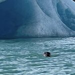 Photo taken by Sue M