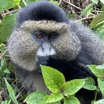 Photo taken by Fuad A