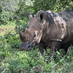 Photo taken by Michael L