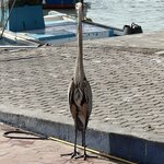 Photo taken by Jennifer Z