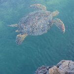 Photo taken by Patricia D