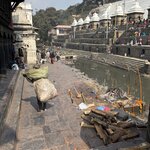 Photo taken by Kathy O