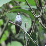 Photo taken by Mark B