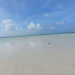 Photo taken by Claudio B