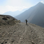 Mustang | Photo taken by david b