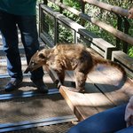 Photo taken by Deborah M