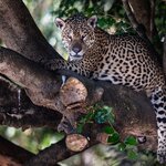 Photo taken by Matt W