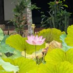 Photo taken by Bijal P