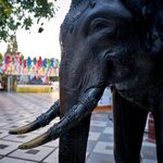 Photo taken by Steve B