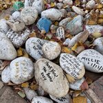 Photo taken by Tom B