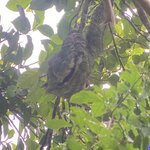 Photo taken by Kim L