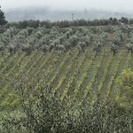 Photo taken by Martha D