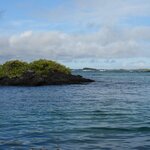 Photo taken by Patricia D